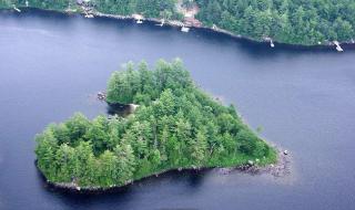 一百万美元 一百万美元