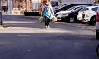 天津快递停运了吗 天津快递停运了吗